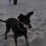 Ostseeoase - Whg 23 Strandnahe *