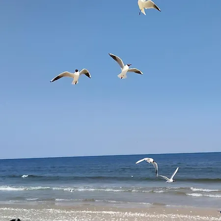 Ostseeoase - Whg 23 Appartement