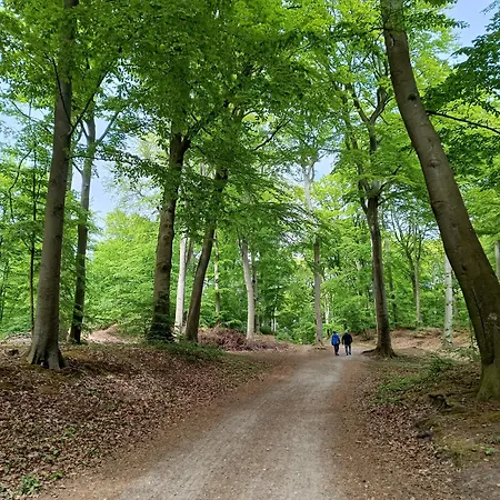 Appartement Ostseeoase - Whg 23